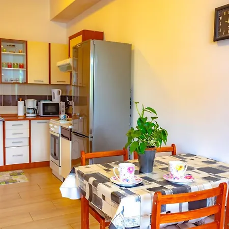 Botic * بوريتش